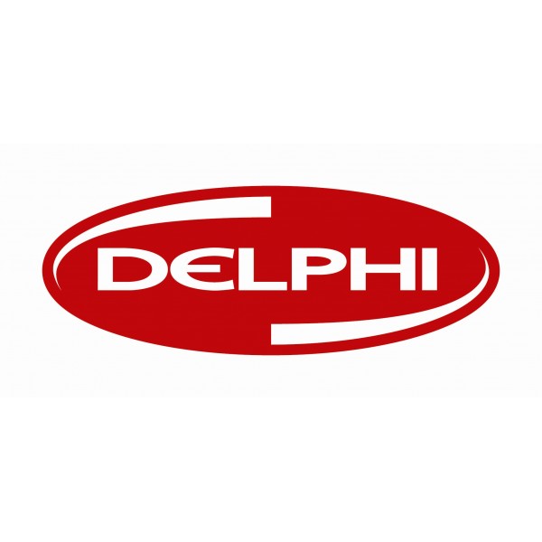 DELPHI O-RING-PK10 6407-103